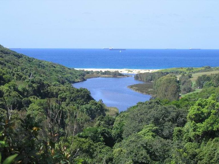 Explore hilly tropical forest through Glenrock lagoon and Yuelarbah track